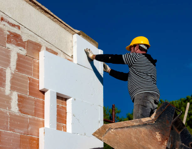 Best Eco-Friendly Insulation in Moss Bluff, LA