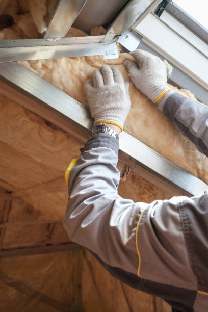 Best Spray Foam Insulation in Moss Bluff, LA