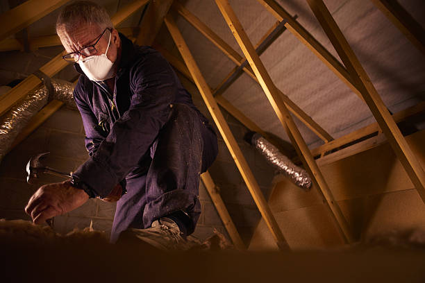 Best Geographic-Specific Insulation Services in Moss Bluff, LA