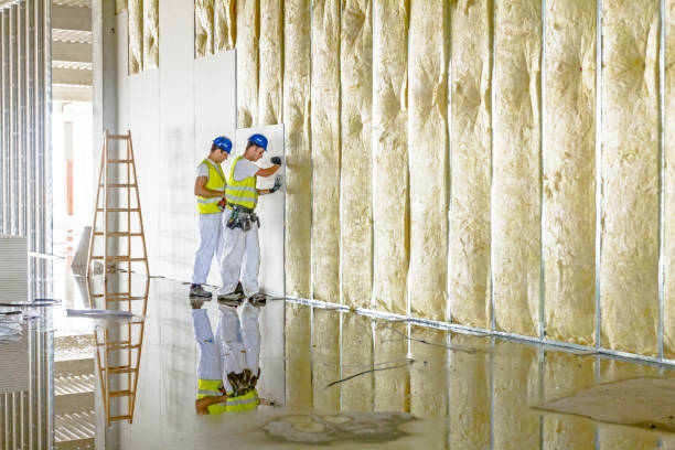 Best Cellulose Insulation in Moss Bluff, LA